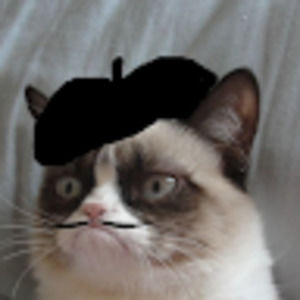 Meet your Posher, Irrelivant